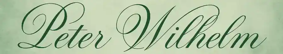 Eine angedeutete Signatur Logo peter wilhelm mori